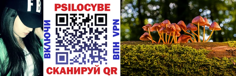 Псилоцибиновые грибы MAGIC MUSHROOMS hydra как зайти Володарск